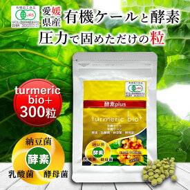 遠赤青汁 turmeric bio+ 300粒 [送料無料 有機 国産 子供 青汁粒 粒 タブレット ケール オーガニック 酵素 無添加 無農薬 コレステロール 野菜 食物繊維 野菜不足 ビタミン ミネラル 鉄 葉酸 アミノ酸 ギャバ GABA ]