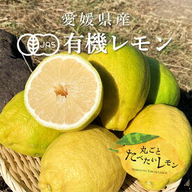 【スーパーSALE期間中ポイント10倍】 有機 レモン 璃の香 1kg・2kg [ 愛媛県産 国産 産地直送 ノーワックス 無農薬 皮まで まるごと 有機 オーガニック ギフト お取り寄せ 家庭用 お家グルメ 果物 フルーツ 柑橘 野菜 新鮮 ビタミンC 果汁 送料無料 ]