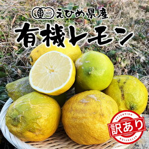 y󂠂z̍ L@ 2kgm n QY Y I[KjbN L@ Yn m[bNX _ ܂ ܂邲 ƒp p  ʕ t[c k  r^~C 