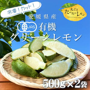 L@ ⓀJbg 500g×2܁m QY Y ̍  I[KjbN L@ Yn m[bNX _ ܂ ƒp p t[c Ⓚt[c k  r^~C N