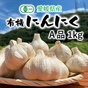 L@ ɂɂ 1kg QY (Ai V) [ L@ L@JAS Y _ I[KjbN K[bN Mtg Yn    jjN ]
