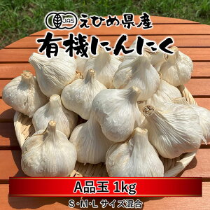 L@ ɂɂ Ai  1kg 󂠂 t o 500g 1kg(500g×2j[ L@ɂɂ L@͔| _sgp  O K[bN Mtg Yn    XpCX jjN  