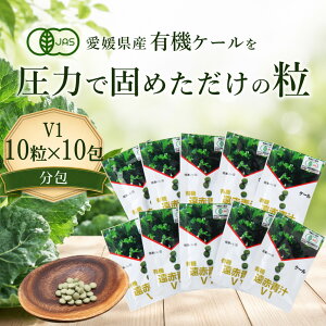 �䂤�p�P�b�g�������� ���Ԑ`V1 10��×10��[�������� �L�@ ���Y �` �q�� �`�� �� �^�u���b�g �P�[�� �I�[�K�j�b�N �y�f ���Y�� ���_�� ���� ��� �H���@�� ��ؕs�� �r�^�~�� �~�l���� �S 