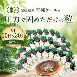�䂤�p�P�b�g�������� ���Ԑ`V1 10��×30��[�������� �L�@ ���Y �q�� �`�� �� �^�u���b�g �P�[�� �I�[�K�j�b�N �y�f ���Y�� ���_�� ���� ��� �H���@�� ��ؕs�� �r�^�~�� �~�l���� �S �t�_ 