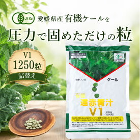 【新規限定クーポンあり】遠赤青汁V1 1250粒詰替[送料無料 有機 国産 青汁 子供 青汁粒 粒 タブレット ケール オーガニック 酵素 無添加 無農薬 無糖 コレステロール 野菜 食物繊維 野菜不足 ビタミン ミネラル 鉄 葉酸 アミノ酸 ギャバ GABA ]