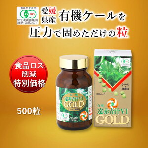 yHiX팸 ʉizԐ`V1GOLD 500r [ L@ Y QY I[KjbN ` _ [ y yf P[ L@JAS]