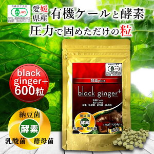 Ԑ` black ginger+ 600 [ L@ Y ` q `  ^ubg P[ I[KjbN yf Y _ RXe[  H@ ؕs r^~ ~l S t_ 