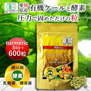 Ԑ` turmeric bio+ 600 [ L@ Y ` q `  ^ubg P[ I[KjbN yf Y _ RXe[  H@ ؕs r^~ ~l S t_ 