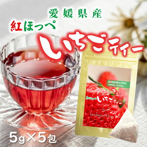gق eB[  [Y t[ceB[ Y bNX eB[^C  Hׂt[ceB[  Mtg  蕨 v[g J r^~C m