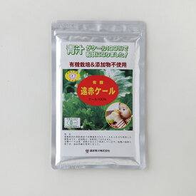 楽天市場 野菜ジュース 食物繊維10gの通販