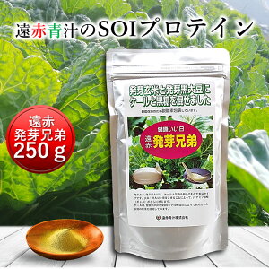ԔZ 250g [L@ Y 茺 P[ 哤  Mo H@ veB]