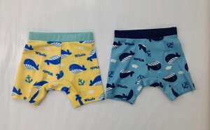 ݁ywholezjpc@Cpc@畿//pcCG[/GhO[