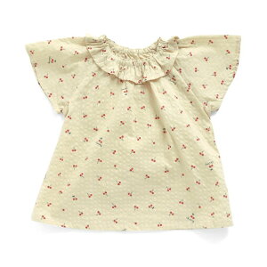 ݁yampersandzApTh/pW}/iڕj80cm/90cm100cm110cm120cm100%//tAV[gpc/[EGA