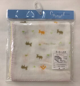 VNr[@{@K[[nJ`5@o/N[TCY32×32cm@100@o/T