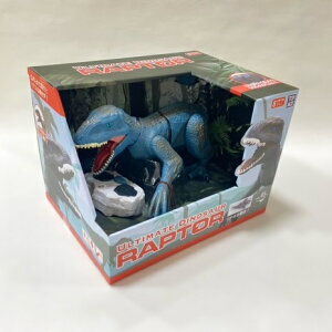 傤イ̂ / NX}X/R/ԊOM/vg