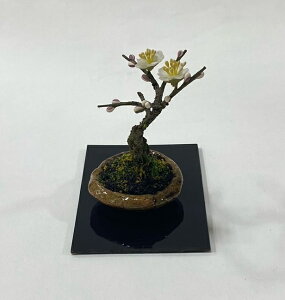 ya_zlGǂ@w~x@{@/ /CeA/a/̂Ȃ/a/_ȏ