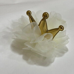 yLien de famille zwAoh LLNE j[{[tHg/oYj/ Mtg/xr[wAoh 킢 /̎q /j̎q/ V/  /[X`[ 