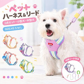 ペット用ハーネス＆リードセット 犬 ハーネス 小型犬 猫 中型犬 おしゃれ 犬用 胴輪 負担が少ない 犬具 ダブルロック メッシュ 抜けにくい犬具 簡単装着イヌ ドッグ お出かけ 散歩 外出 ドッグ 通院 災害 避難 ペット 服 牽引ロープ付き