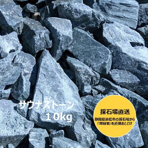 BӐ BӐ΂̃TEiXg[ TEiXg[ PΊ 001 10L ΐF Y VR egTEi