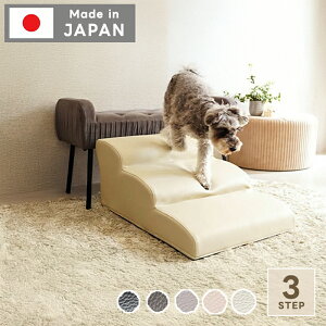 { hbOXebv 3i Ki \t@ ybgp  NbV h~ ݑ p ybgXebv Y Xebv ^ PVCU[   step t@ubN Xebv i