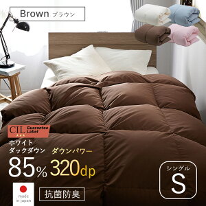 X[p[Z[ 10OFF{ zc Hѕzc VO S 150 210 zCg_bN_E 85% |zc {| _Ep[ 320 ӂƂ ~ |zc h_j AM[  Y  R hL y