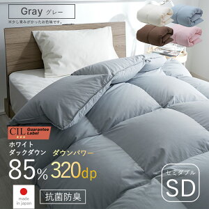 X[p[Z[ 10OFF{ zc Hѕzc Z~_u SD 170 210 zCg_bN_E 85% |zc {| _Ep[ 320 ӂƂ ~ |zc h_j AM[  Y  R hL 