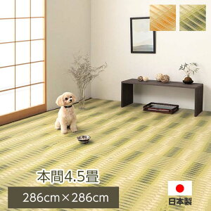 J[ybg ` { Y i {4.5i286×286cmj  O Y 􂦂C PP J[ybg ` ~ O    |vs @  ėp 