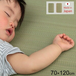 { q  V[c 70×120cm R hL ~zc Qzc ~zcJo[   xbh}bg ~pbh Y   Q ~zc Q xr[zc ܂肽 NbV 