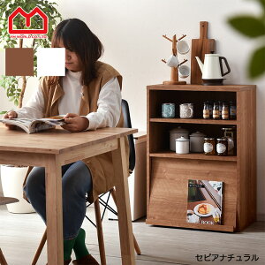 1枚フラップ 扉付 キャビネット本棚 棚 ラック リビング収納 可動棚チェスト 北欧 薄型スリム 扉付き カウンター下収納 おしゃれ ラック絵本棚 オシャレ間仕切り収納 木製インダストリアル