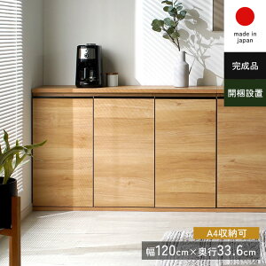 Lrlbg `FXg k t Vv A4 e i gݗĕsv gsv { Ƌ ؐ 120 s35 ^ X TCh{[h rO JE^[[  