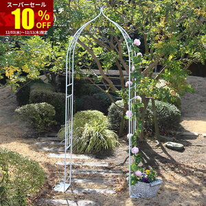 X[p[Z[ 10OFFK[fA[` 55cm [YA[` oN}`XA[` | K[fjOpi K[f t@j`[ TCheBX ACA |pi ԗ ԑ 뉀 