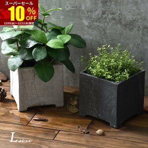 X[p[Z[ 10OFFAؔ v^[  |bg XNGA 5  k AeB[N  K[fjO K[f CeA lp p^ ϗtA |  O  A 