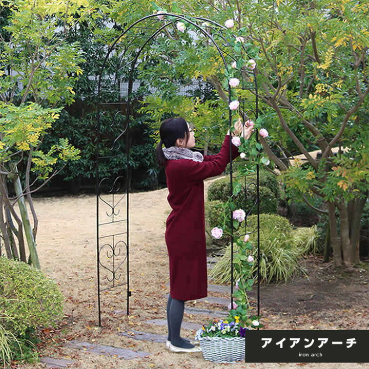 楽天市場】ガーデンアーチ 幅114cm ローズアーチ バラクレマチスアーチ 
