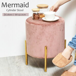 Xc[ ֎q xA Be[W i gsv k  Vv  zCg RpNg ȃXy[X 킢 _  ۑ ~j q AeB[N xxbg 40 Ibg