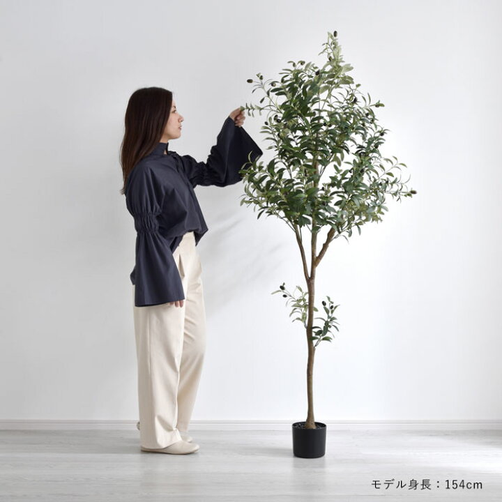 楽天市場】フェイクグリーン 大型 玄関 オリーブ オリーブの木 180cm 