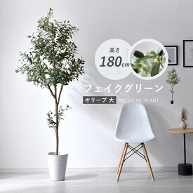 ★最大1800円OFFクーポン★フェイクグリーン 大型 玄関 オリーブ オリーブの木 180cm 鉢植え おしゃれ 新築祝い スリム 人工観葉植物 観葉植物 フェイク インテリア リアル プランター 枝 目隠し 室内 造花 大きい 緑 そっくり 植物 虫 木 人気 リビング オフィス 開店