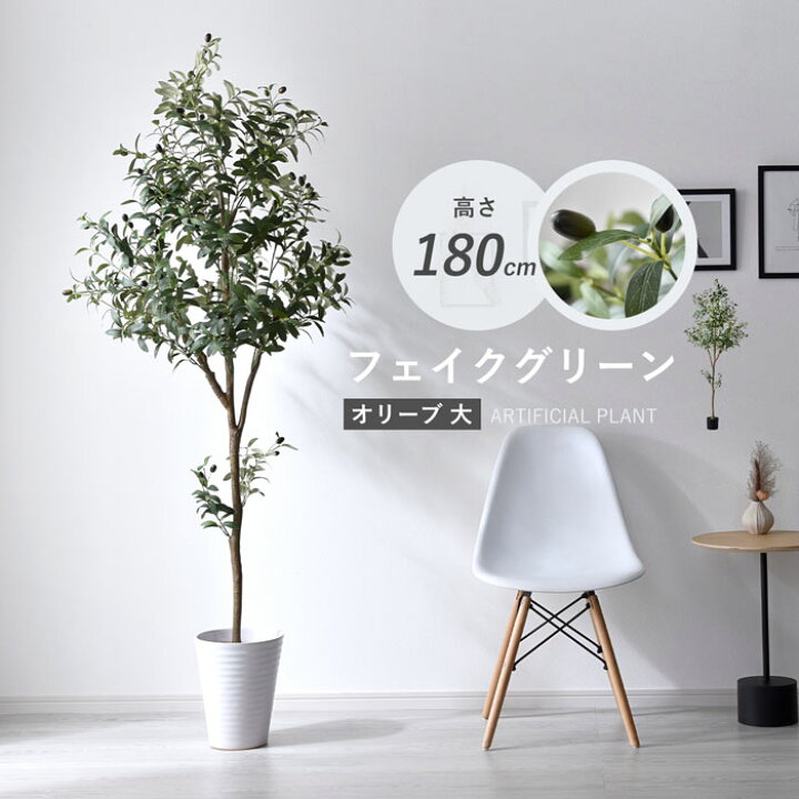 楽天市場】フェイクグリーン 大型 玄関 オリーブ オリーブの木 180cm 