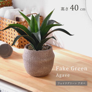 N[|500~OFFCeAO[ AKx 40cm i` i`CeA tFCNO[ ϗtA lHϗtA ~j tFCN CeA A  ͂Ȃ 