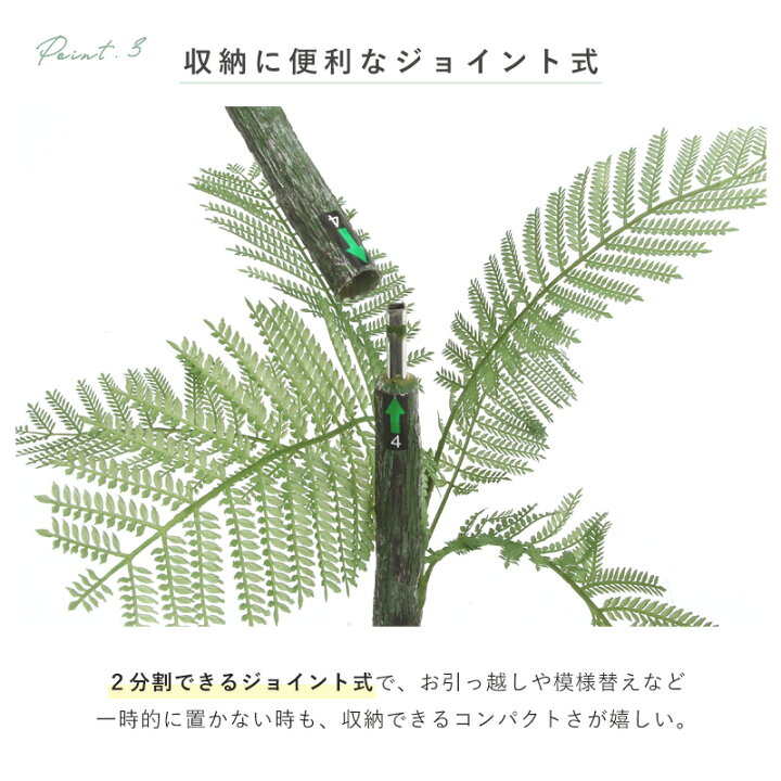 楽天市場】フェイクグリーン 大型 玄関 ジャカランダ ジャカランダの木 