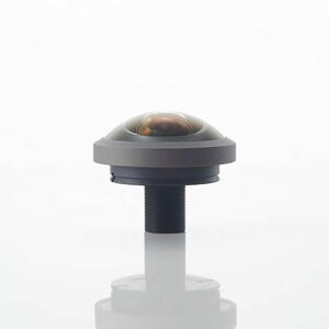 Entaniya 250x ჌Y M15}Eg CS}EgA_v^t LpY YƗpJΉ