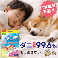 半額クーポン配布中・スーパーセール！【植物由来成分使用】ダニ取りシート ダニ捕りシート ダニ捕り ダ…