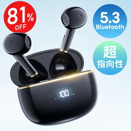 スーパーセール限定価格！楽天1位 3冠達成「EX-DASH史上最高コスパ」ワイヤレスイヤホン Bluetooth5.3 イ…