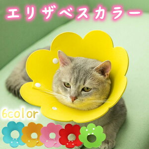 GUxXJ[ L \tgGUxXJ[ L  \tg rߖh~ XgXy y yʏp㏝ی rߖh~ Z[ Lp ^p y tFgf  S M L Em