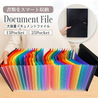 【全品ポイント5倍/5の付く日】ドキュメントファイル 書類ケース a4 持ち運び ファイル ケース 領収書入…