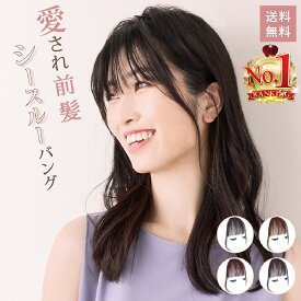 【ポイント5倍/スーパーセール期間内】前髪ウィッグ ポイントウィッグ シースルーバング 前髪 自然 部分ウィッグ ナチュラル つけ毛 クリップ式 レディース ヘアメイク ワンタッチエクステ まとめ髪 簡単 イメチェン 耐熱