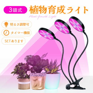 LED�A���琬���C�g 3�� LED �^�C�}�[ �X�^���h �A���琬���C�g �w�K�^�C�}�[ �X�^���h���C�g �X�^���h�� �X�^���h�J���[ 3�� 5�i�K���� �A�����C�g �A���琬�����v �ϗt�A���p���C�g �����͔|