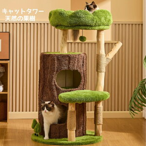 キャットタワー 猫タワー 木」の人気商品一覧・価格比較 - 価格.com