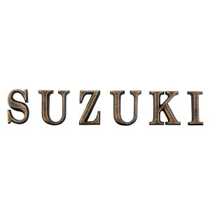 Iׂ37F ێO^JM \D A~ ؂蕶 CGS LXe CAS-1 1