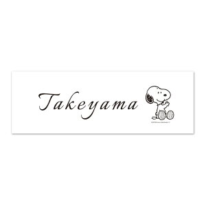 ێO^JM @\和 FXeBL/LNΉEKIL/LN/2/3Ή v[g\D Xk[s[^Cv JEF-62 205mm×70mm