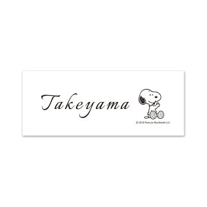 ێO^JM @\和 FXeBSEKISΉ v[g\D Xk[s[^Cv JES-62 145mm×58mm